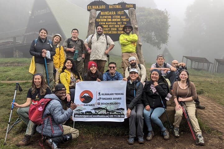 Kilimanjaro Day Hike on the Marangu Route — Mandara Hut & Maundi Crater photo 5