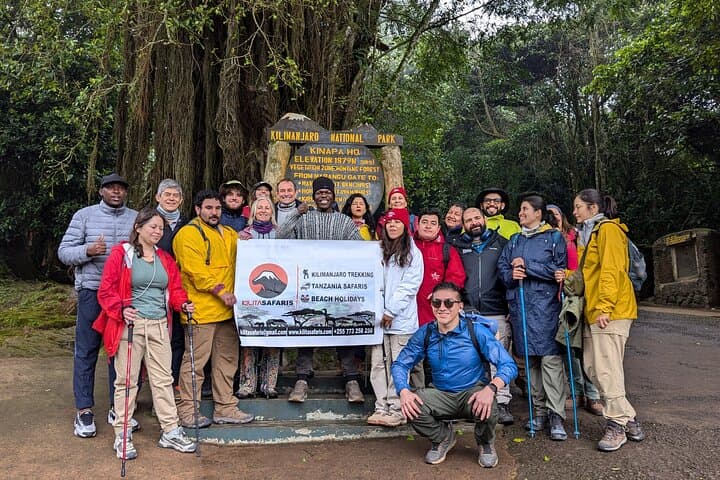 Kilimanjaro Day Hike on the Marangu Route — Mandara Hut & Maundi Crater photo 6