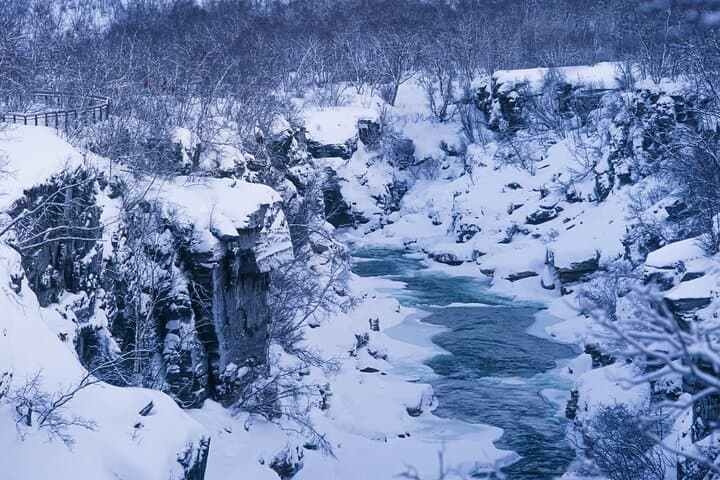Day Trip from Kiruna: Abisko Canyon, Lake Torneträsk & Silver Waterfall Hike photo 4