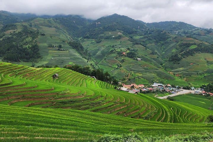 Mu Cang Chai Full-Day Trek: Horseshoe Hill, Bamboo Forest & Corn House Villages photo 3