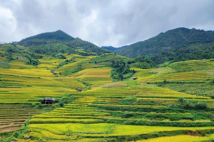 Mu Cang Chai Full-Day Trek: Horseshoe Hill, Bamboo Forest & Corn House Villages photo 4