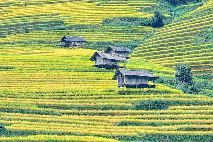Mu Cang Chai Full-Day Trek: Horseshoe Hill, Bamboo Forest & Corn House Villages photo 2