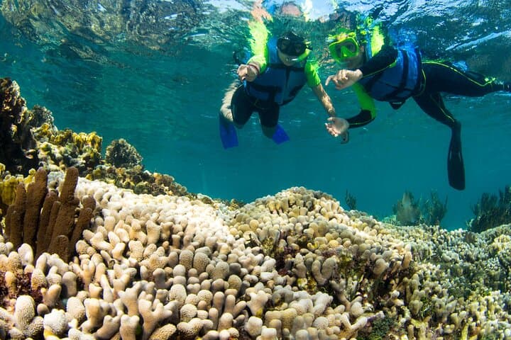 Mangrove Jungle Speedboat Experience in Cancun — Punta Nizuc Snorkel photo 6