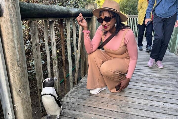 Half-Day Penguin Encounter at Boulders Beach — Cape Town Wildlife Tour photo 2