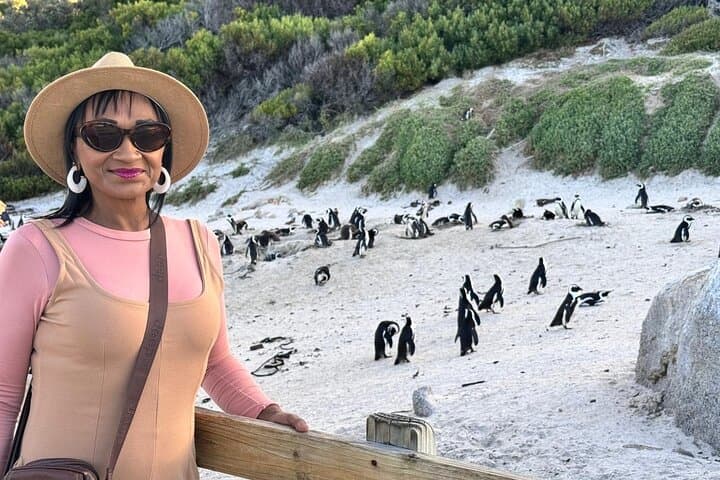 Half-Day Penguin Encounter at Boulders Beach — Cape Town Wildlife Tour photo 6