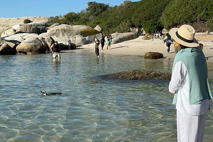 Half-Day Penguin Encounter at Boulders Beach — Cape Town Wildlife Tour photo 3