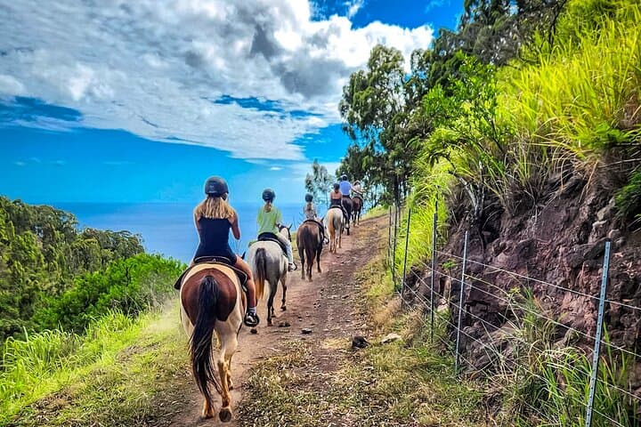 Sunshine Mountain Horseback Rides: Oahu's West Coast Vista Trail photo 2