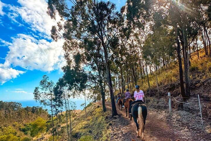 Sunshine Mountain Horseback Rides: Oahu's West Coast Vista Trail photo 3