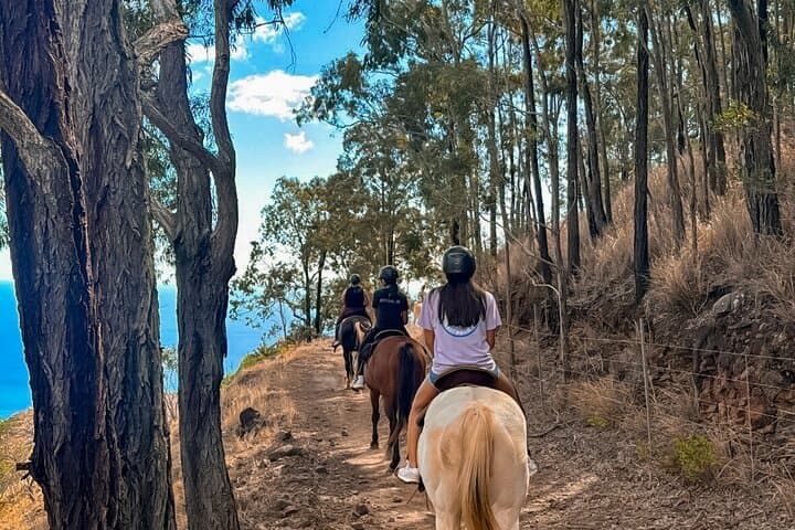 Sunshine Mountain Horseback Rides: Oahu's West Coast Vista Trail photo 6