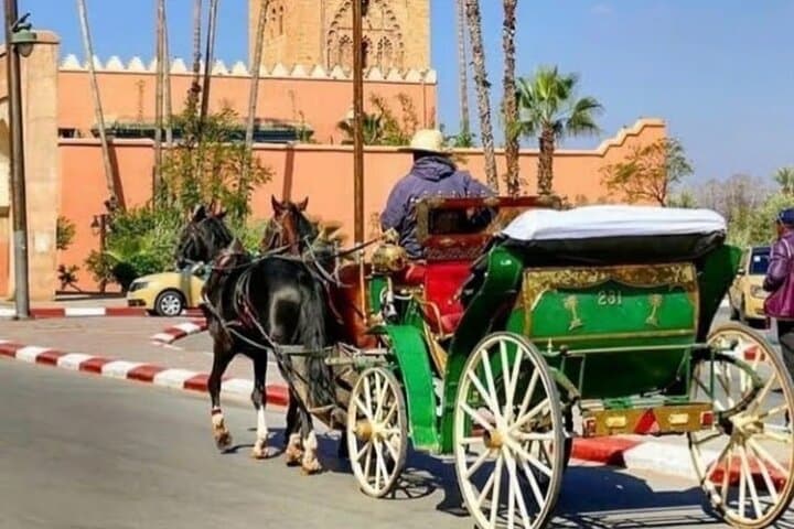 Traditional Marrakech Horse-Drawn Carriage Ride and Menara Gardens Tour photo 1