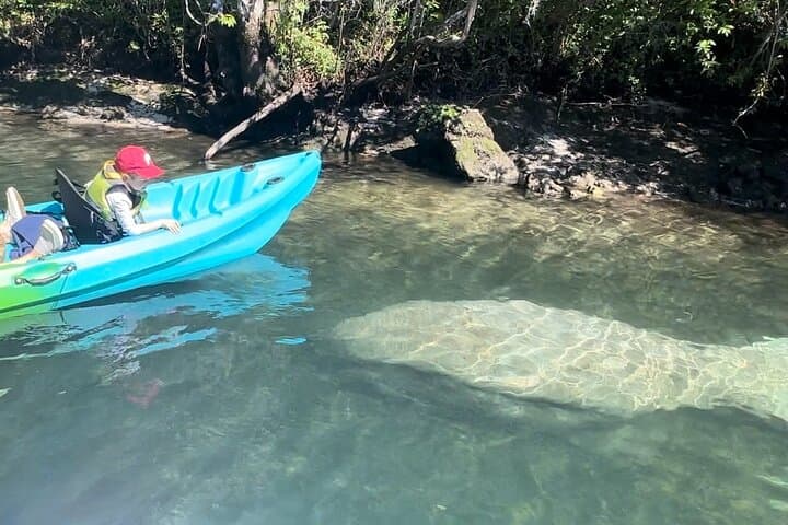 Crystal River Sunset Kayak Tour: Paddle With Manatees in Kings Bay photo 2