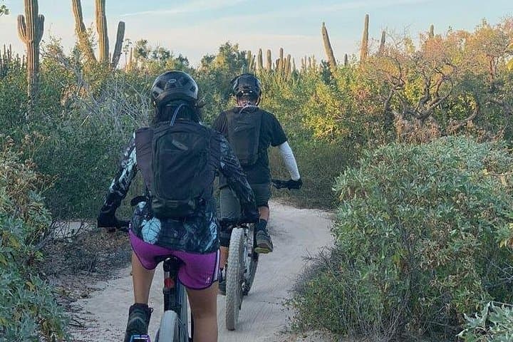La Ventana Cactus Forest Mountain Bike Tour — Guided Ride Near La Paz photo 1