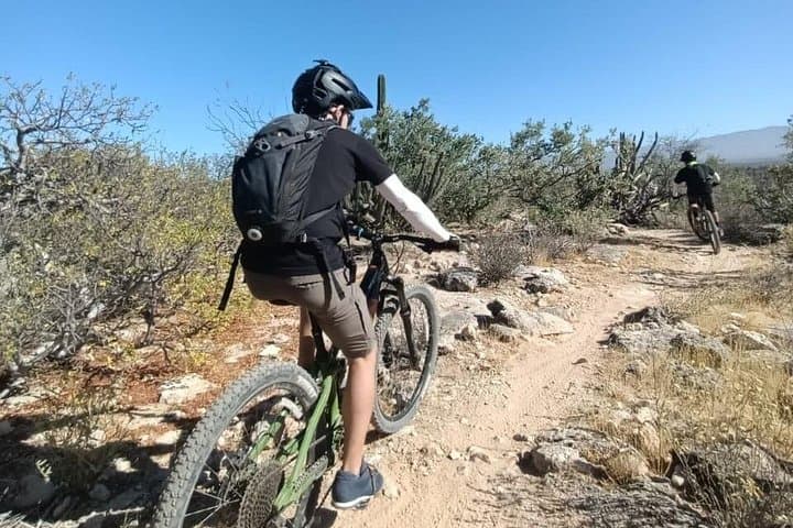 La Ventana Cactus Forest Mountain Bike Tour — Guided Ride Near La Paz photo 3