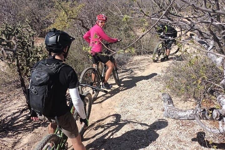 La Ventana Cactus Forest Mountain Bike Tour — Guided Ride Near La Paz photo 4