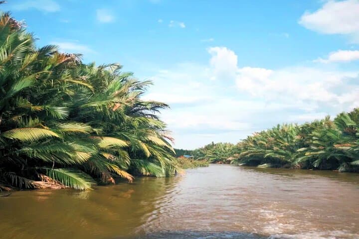 Tuaran River Fireflies & Blue Tears Cruise: Kinabalu Views, Mangroves & Local Culture photo 4