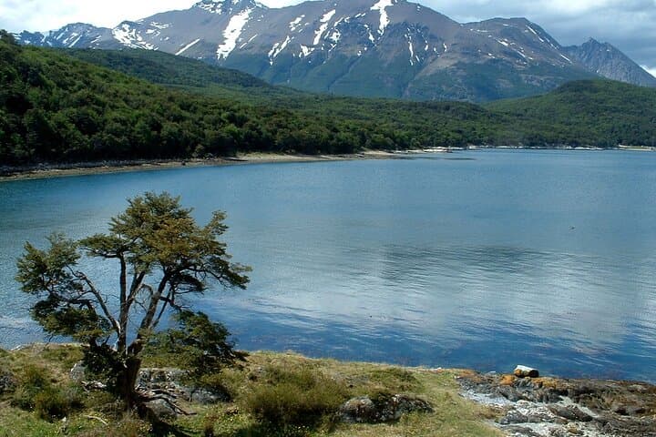 Half-Day Tierra del Fuego National Park: Lake Acigami, Lapataia Bay & Pipo River photo 3