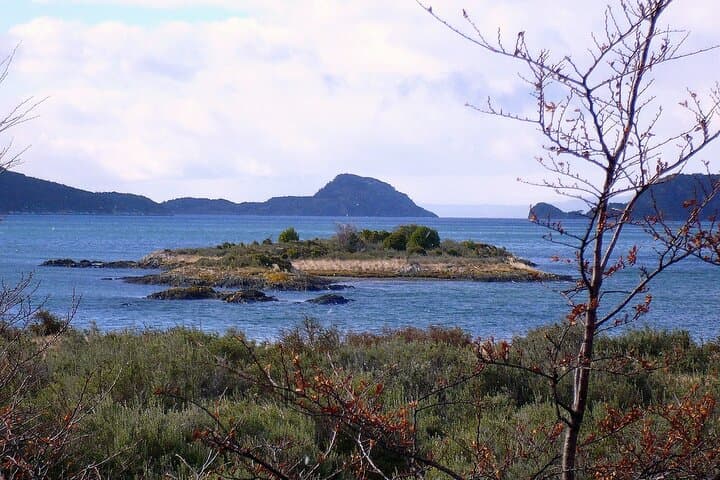 Half-Day Tierra del Fuego National Park: Lake Acigami, Lapataia Bay & Pipo River photo 4