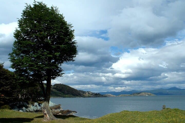 Half-Day Tierra del Fuego National Park: Lake Acigami, Lapataia Bay & Pipo River photo 5