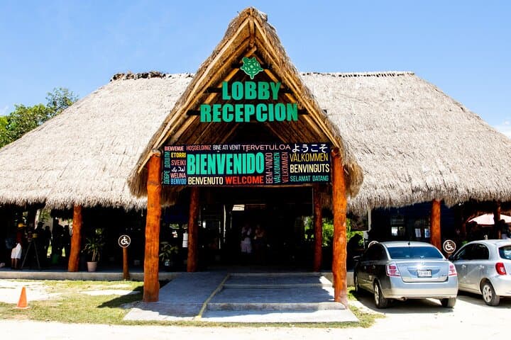 Explore 5 Cenotes from Playa del Carmen: Casa Tortuga Guided Swim and Lunch photo 5