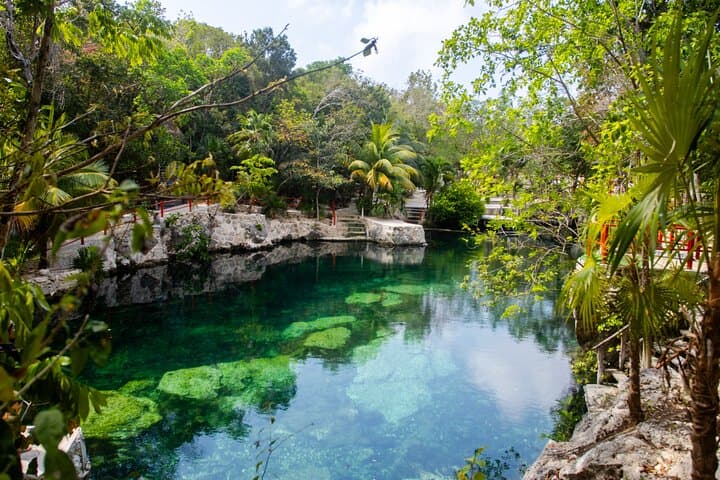 Explore 5 Cenotes from Playa del Carmen: Casa Tortuga Guided Swim and Lunch