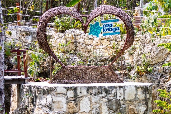 Explore 5 Cenotes from Playa del Carmen: Casa Tortuga Guided Swim and Lunch photo 3
