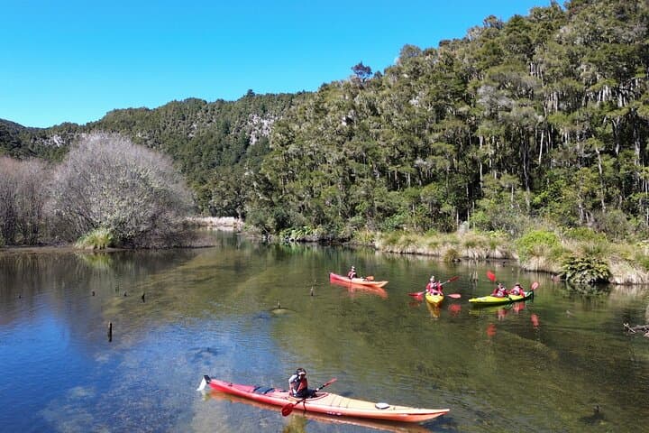 Hidden Lake Kayak Tour: Paddle Taupō’s Secret Gem photo 4