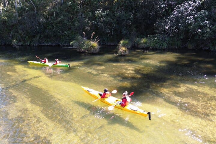 Hidden Lake Kayak Tour: Paddle Taupō’s Secret Gem photo 5
