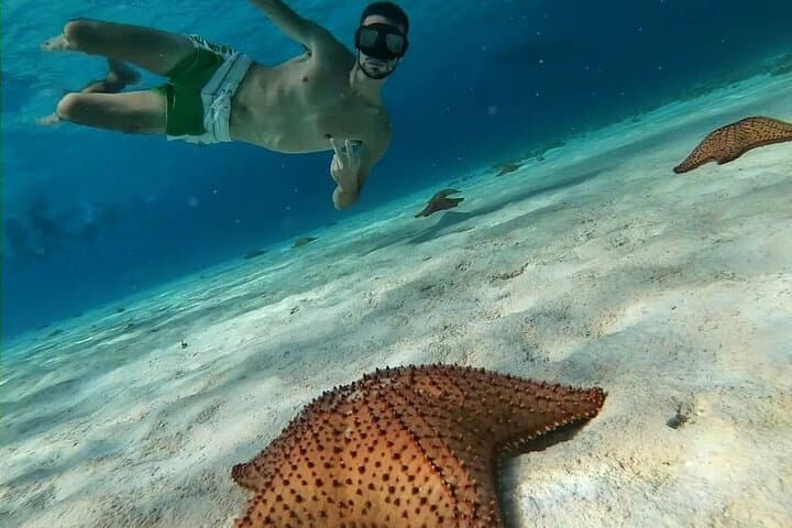 Discover El Cielo & Cozumel: Full-Day Snorkel to Palancar, Columbia and Cielo Reefs