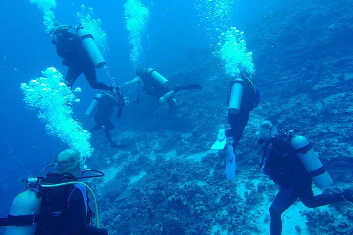 Molokini Crater 2‑Tank Dive from Kihei on the K2 Power Catamaran photo 3