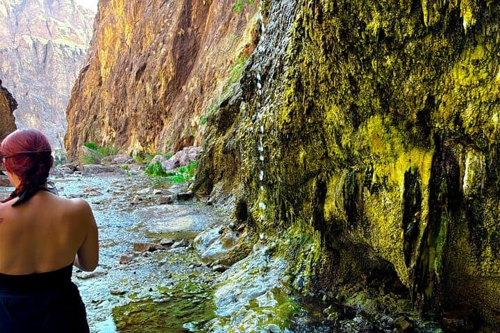 Goldstrike Hot Springs Hike: 124°F Waterfalls, Rope Climbs & Colorado River Plunge