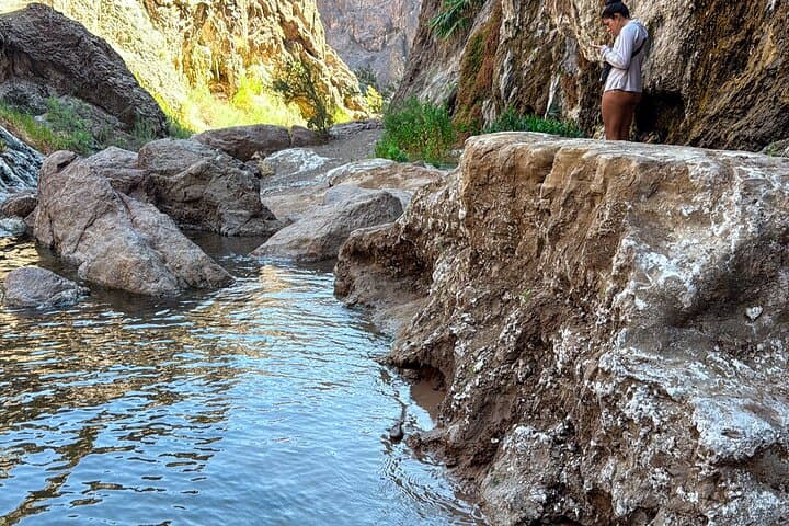 Goldstrike Hot Springs Hike: 124°F Waterfalls, Rope Climbs & Colorado River Plunge photo 4