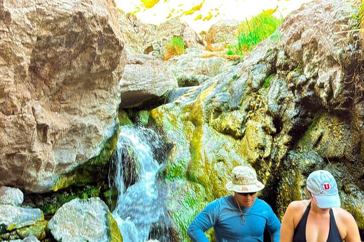 Goldstrike Hot Springs Hike: 124°F Waterfalls, Rope Climbs & Colorado River Plunge photo 5