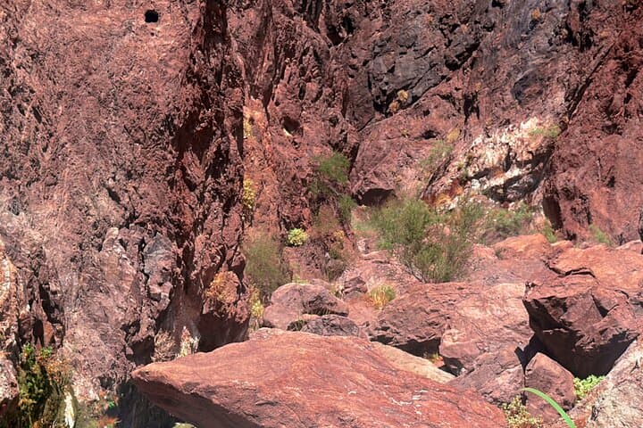Goldstrike Hot Springs Hike: 124°F Waterfalls, Rope Climbs & Colorado River Plunge photo 6