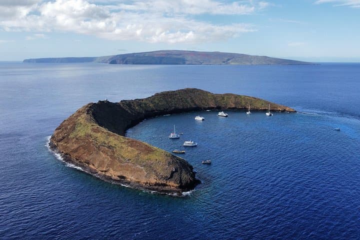 Molokini Crater Two‑Site Snorkel Adventure from Kihei — Half‑Day Cruise to Turtle Towns photo 2