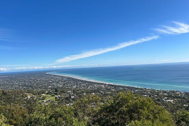 Private Mornington Peninsula Day Trip from Melbourne — Arthurs Seat Eagle, Point Leo Wine & Cape Schanck photo 2