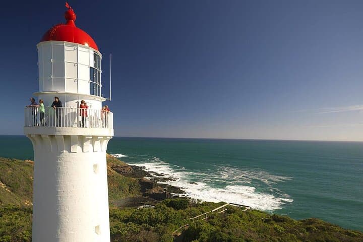 Private Mornington Peninsula Day Trip from Melbourne — Arthurs Seat Eagle, Point Leo Wine & Cape Schanck photo 5