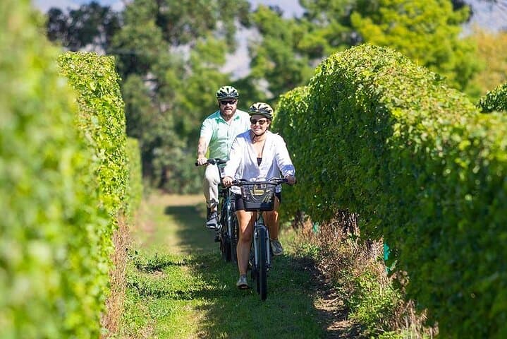 Renwick Vineyard Bike Tours: Self-Guided Cellar-Door Cycling in Marlborough photo 1