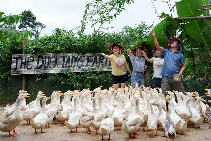 Paradise Cave and Phong Nha Farm Life Day Trip from Dong Hoi photo 3