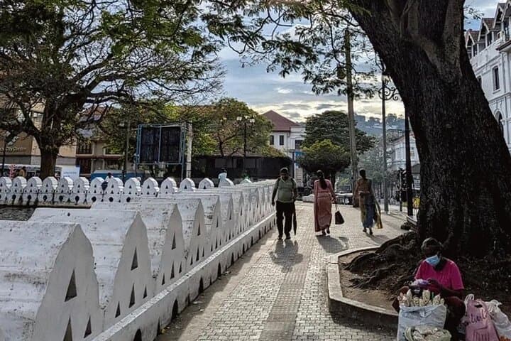 Kandy Tuk Tuk Cultural Tour: Temple of the Tooth, Tea Museum & Spice Gardens photo 3
