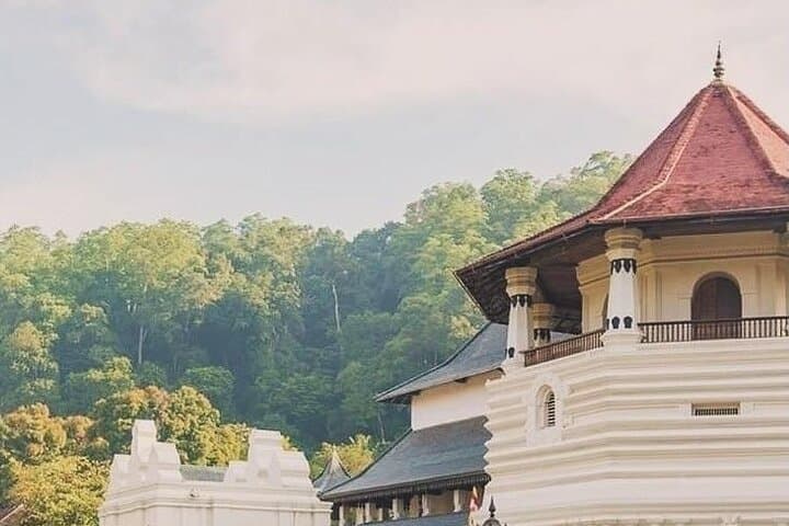 Kandy Tuk Tuk Cultural Tour: Temple of the Tooth, Tea Museum & Spice Gardens photo 4