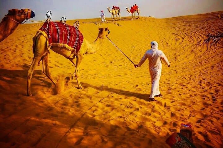 Red Dunes Desert Safari: ATV, Dune Bashing, Camel Rides & BBQ in Dubai photo 5