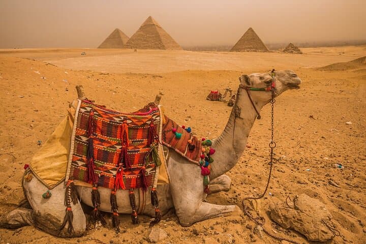 Half-Day Giza Plateau Tour: Pyramids, Sphinx & Camel Ride photo 6