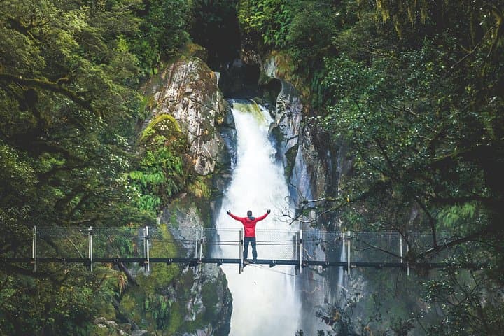 Milford Sound Cruise and Milford Track Day Walk from Te Anau photo 2