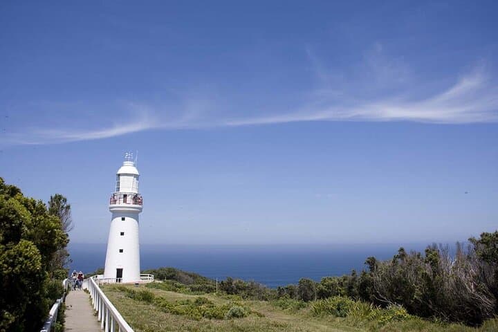 Great Ocean Road Private Tour: Twelve Apostles & Gibson Steps Day Trip photo 5