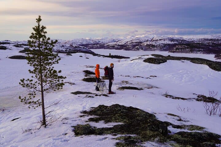Edge of Russia: Snowshoe Hike to the Norwegian-Russian Border from Kirkenes photo 5