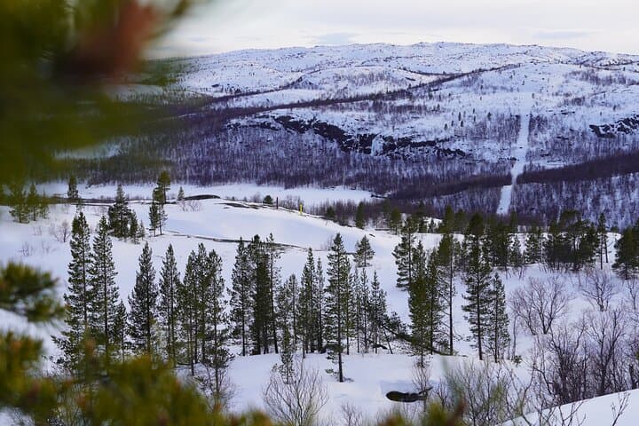 Edge of Russia: Snowshoe Hike to the Norwegian-Russian Border from Kirkenes photo 2