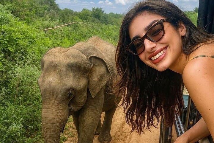 Yala National Park Jeep Safari: Spot Leopards, Elephants & Sloth Bears