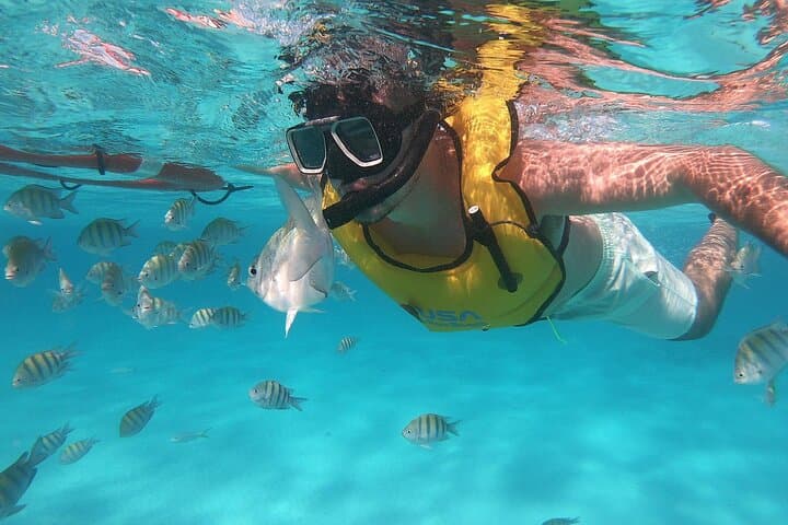 Private Island Kayak & Snorkel Tour — Cayo Real, Vieques photo 2