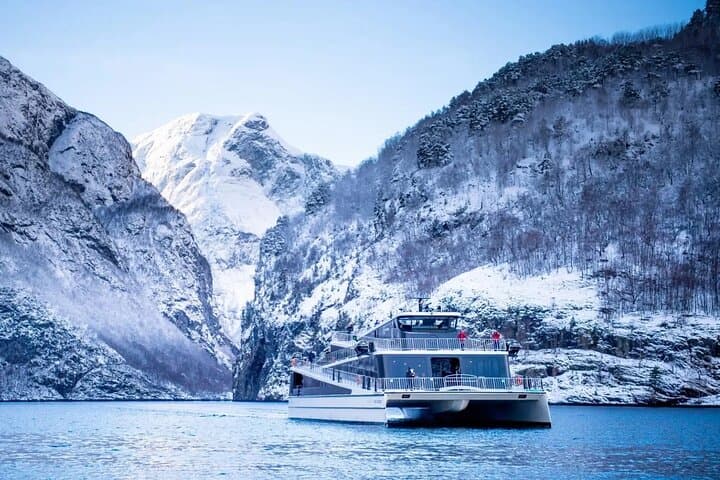 Winter Fjord Tour: Nærøyfjord Cruise, Flåm & Stegastein Viewpoint from Bergen