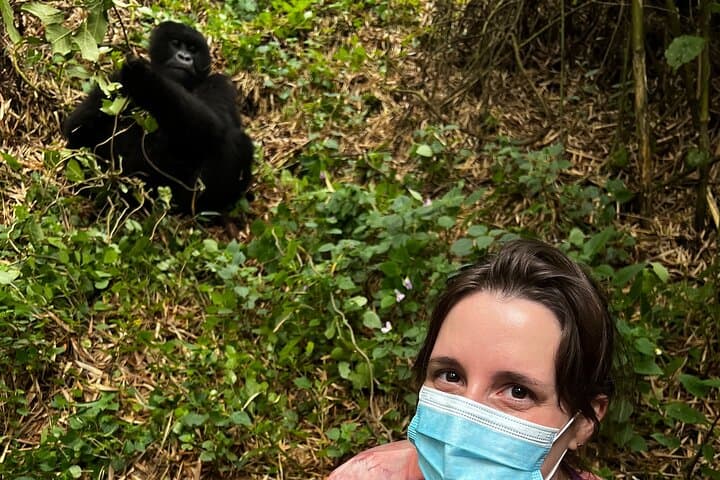 4-Day Akagera Safari & Volcanoes Gorilla Trekking in Rwanda: Big Five to Mountain Gorillas photo 3